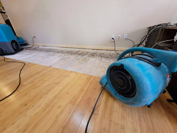 Professional Flood Damage Cleanup technician working in Lyons, OH